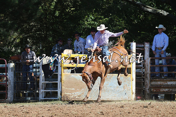 Taralga2015_4855