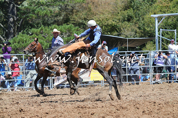 Taralga2015_4474