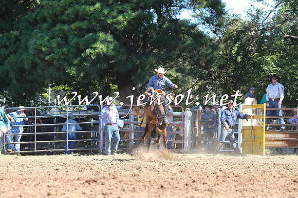 Taralga2015_5005