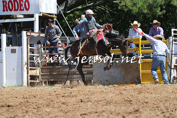 Taralga2015_4348