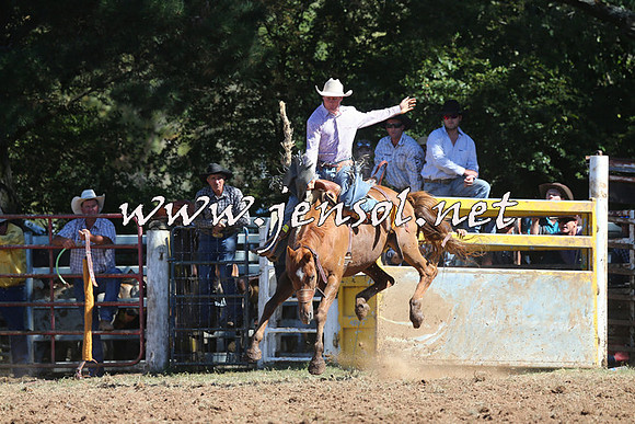 Taralga2015_4875