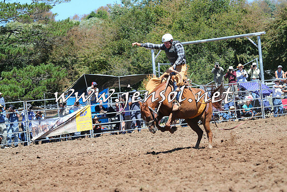 Taralga2015_4262