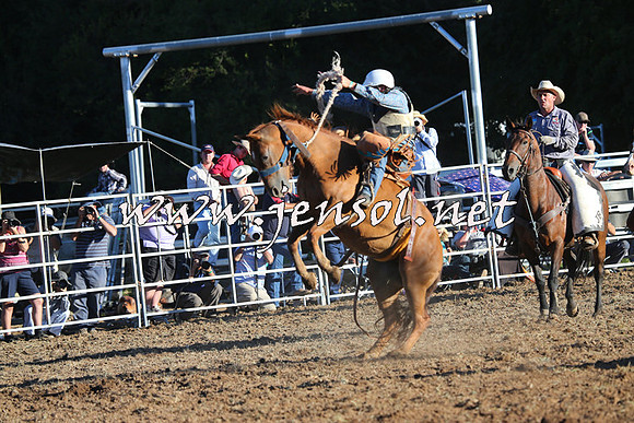 Taralga2015_6722