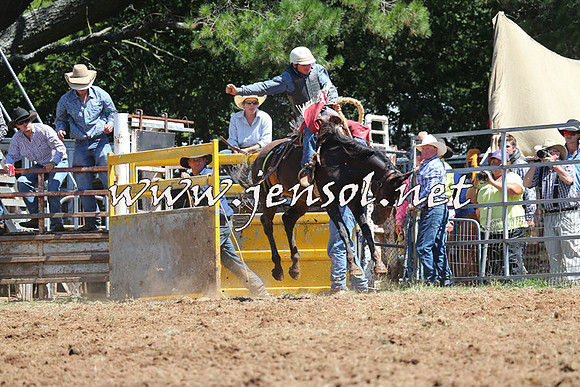 Taralga2015_4343