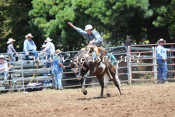 Taralga2015_3463