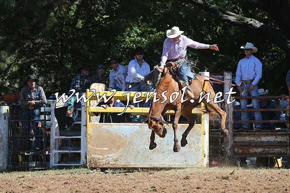 Taralga2015_4857