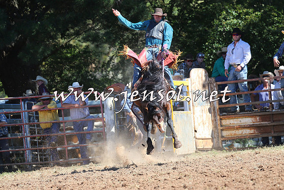 Taralga2015_4829