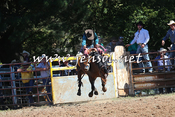 Taralga2015_4836