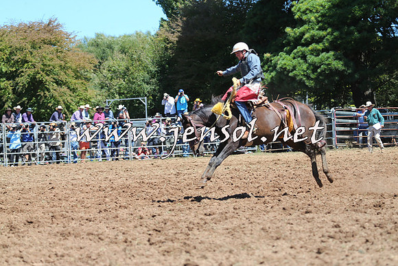 Taralga2015_4375