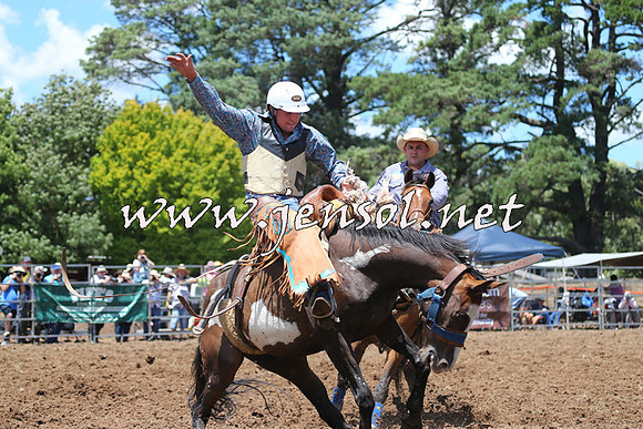 Taralga2015_3497
