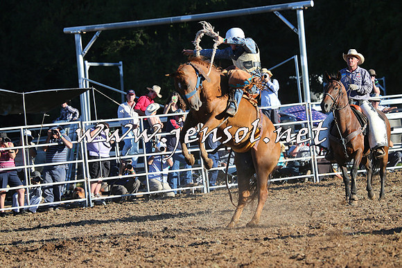 Taralga2015_6725