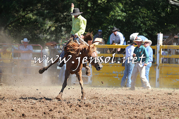 Taralga2015_4957