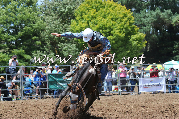 Taralga2015_3487