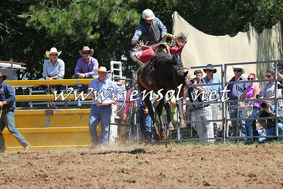 Taralga2015_4354