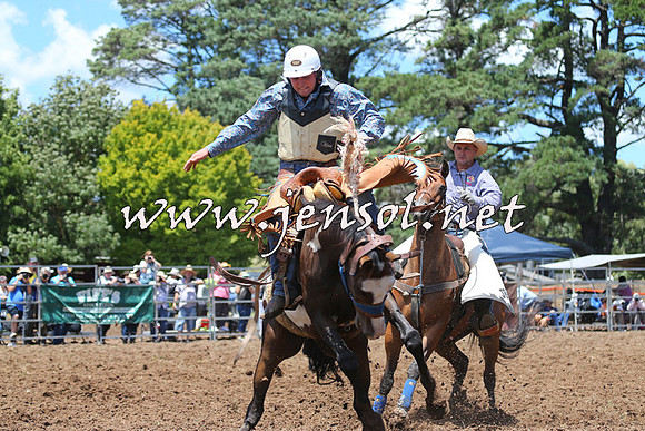 Taralga2015_3499