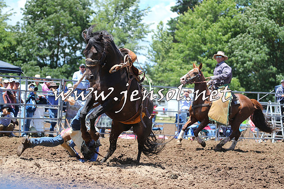 Taralga2015_3555
