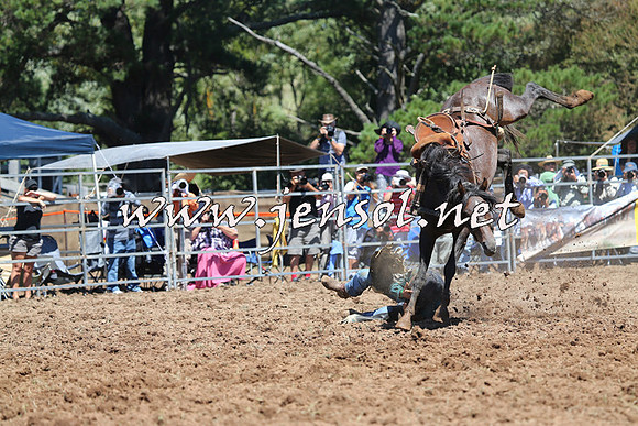 Taralga2015_4414