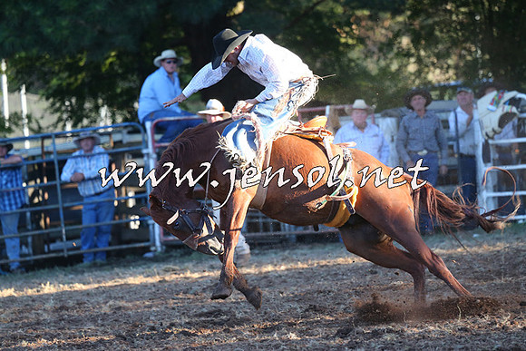 Taralga2015_6845