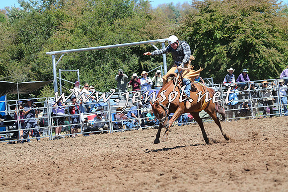 Taralga2015_4263