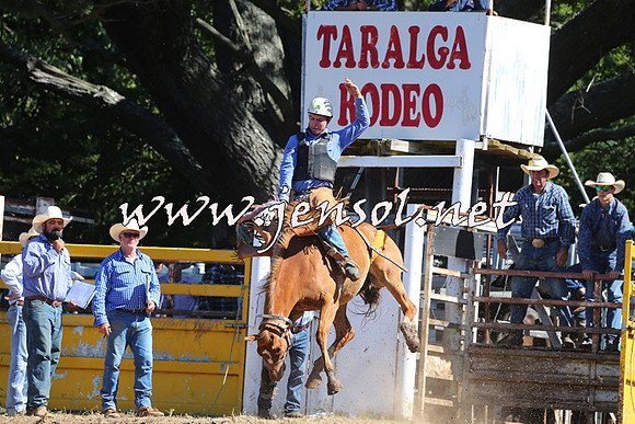 Taralga2015_4925