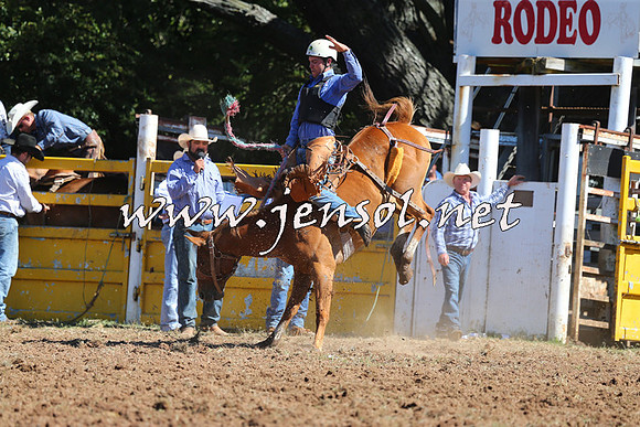 Taralga2015_4915