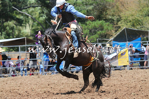 Taralga2015_3538