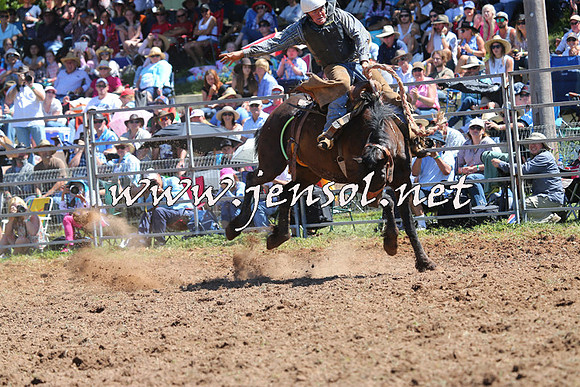 Taralga2015_4531