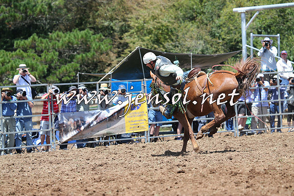 Taralga2015_3573