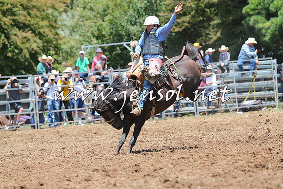 Taralga2015_3532