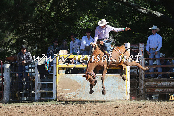 Taralga2015_4854