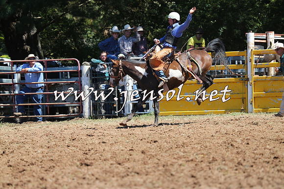 Taralga2015_4424