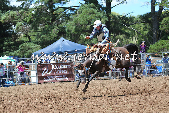 Taralga2015_3491