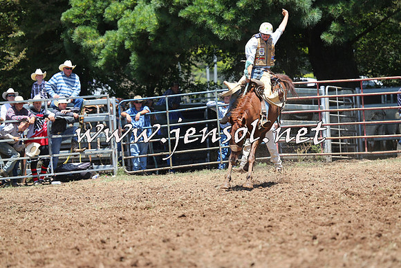 Taralga2015_3591
