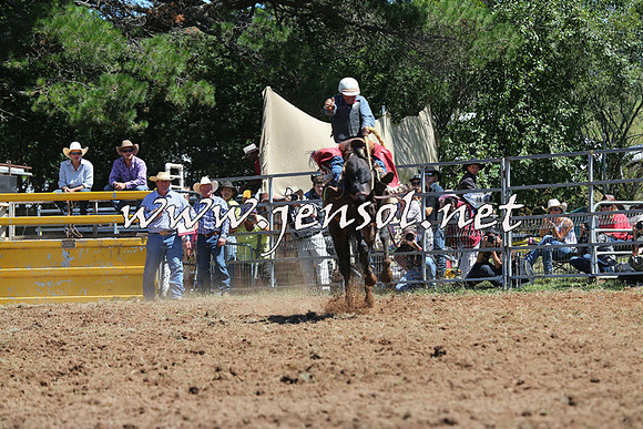 Taralga2015_4353