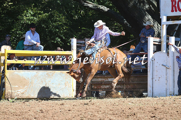 Taralga2015_4859