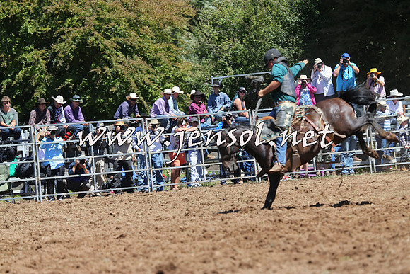Taralga2015_4390