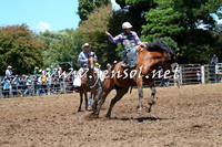 Taralga2015_3447