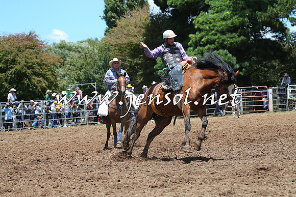 Taralga2015_3447