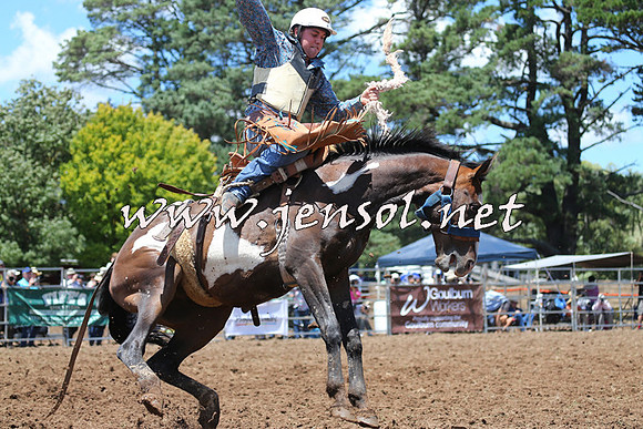 Taralga2015_3501