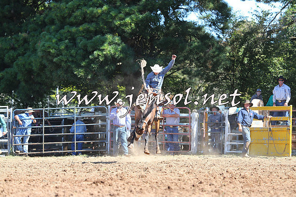 Taralga2015_5023