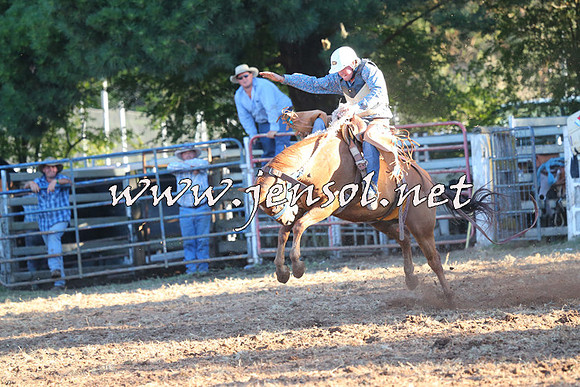 Taralga2015_6679