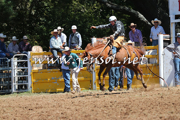 Taralga2015_4235