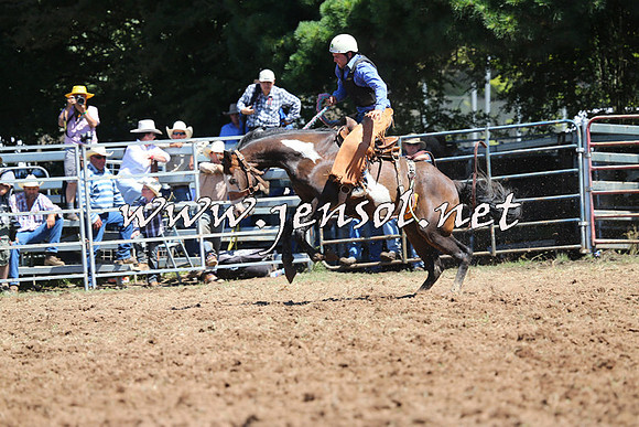 Taralga2015_4443
