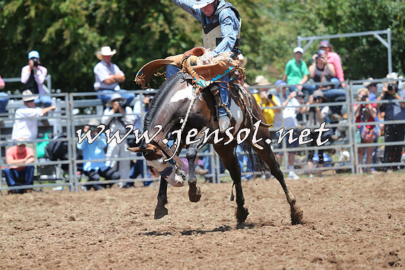 Taralga2015_3478