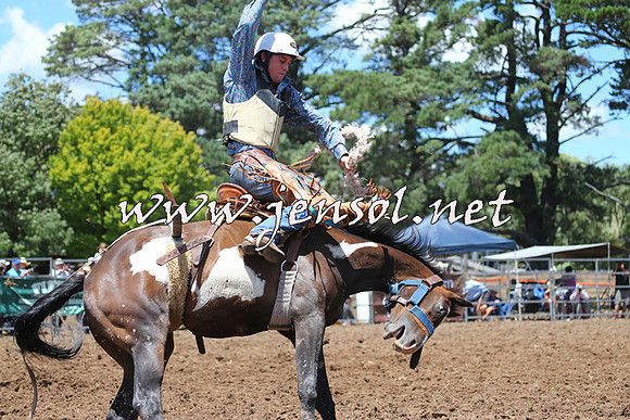 Taralga2015_3502