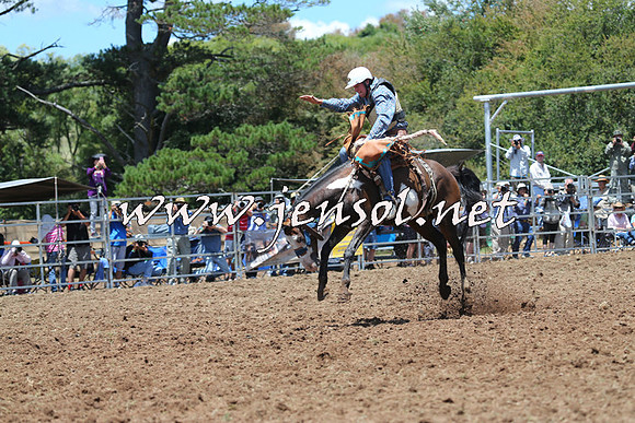 Taralga2015_3474