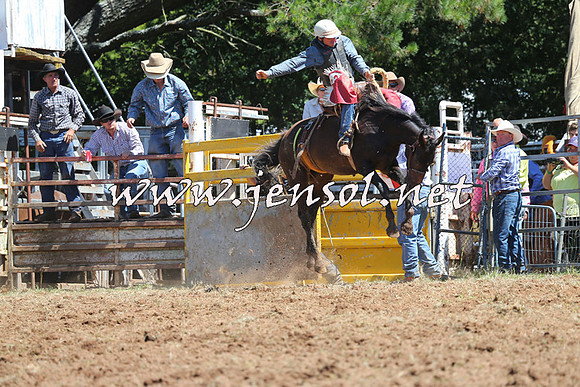 Taralga2015_4342