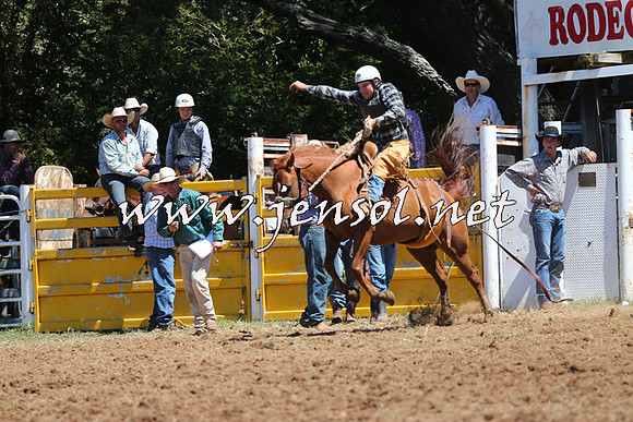 Taralga2015_4234