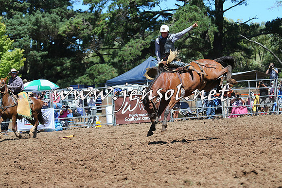 Taralga2015_4314