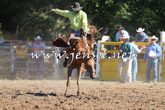 Taralga2015_4970